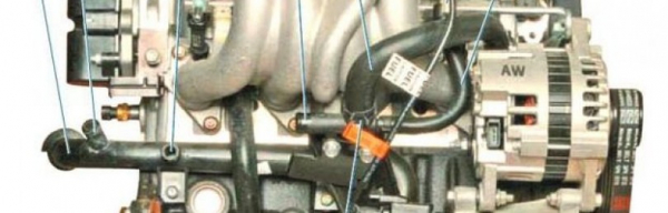 Система охлаждения двигателя Chevrolet Lanos